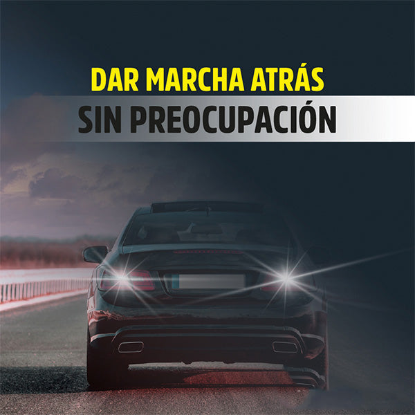 gid://shopify/MediaImage/26444669354019